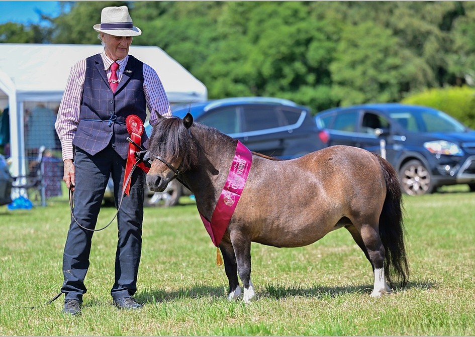 Snelsmore Sienna Supreme Champion at the Hampshire Area Charity Show 2026