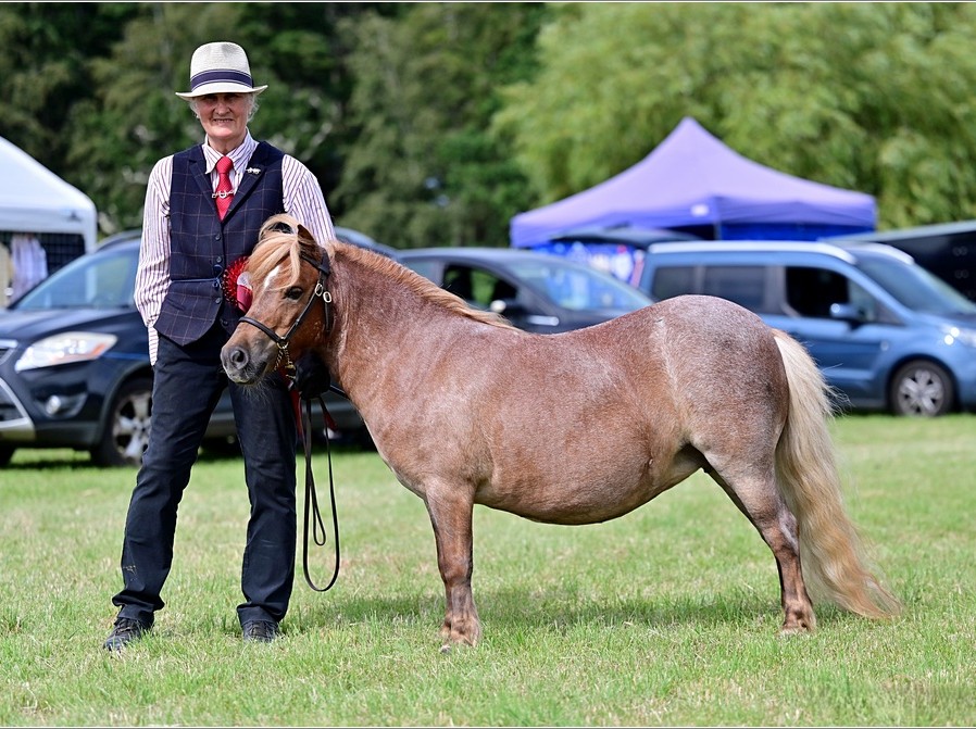 Snelsmore Venus Reserve Champion at the Hampshire Area Charity Show 2026