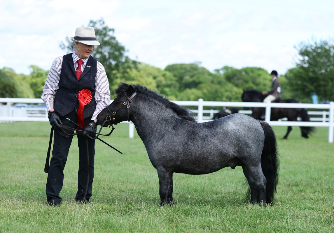Snelsmore Aragorn first place three years & under at Three Counties Agricultural Show 2026