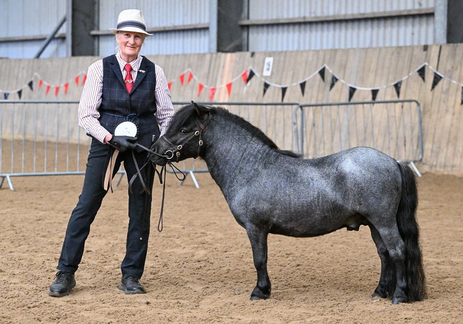Snelsmore Aragorn, First Place Two & Three-Old Class, Junior Champion & Reserve Miniature Champion at Fuss Show 2026