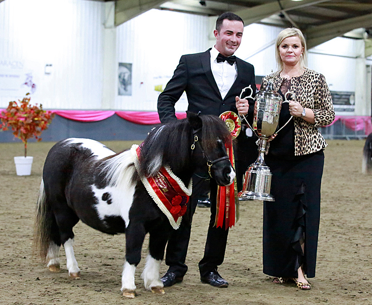 IMHPS Show: Supreme of show for Snelsmore Lily.