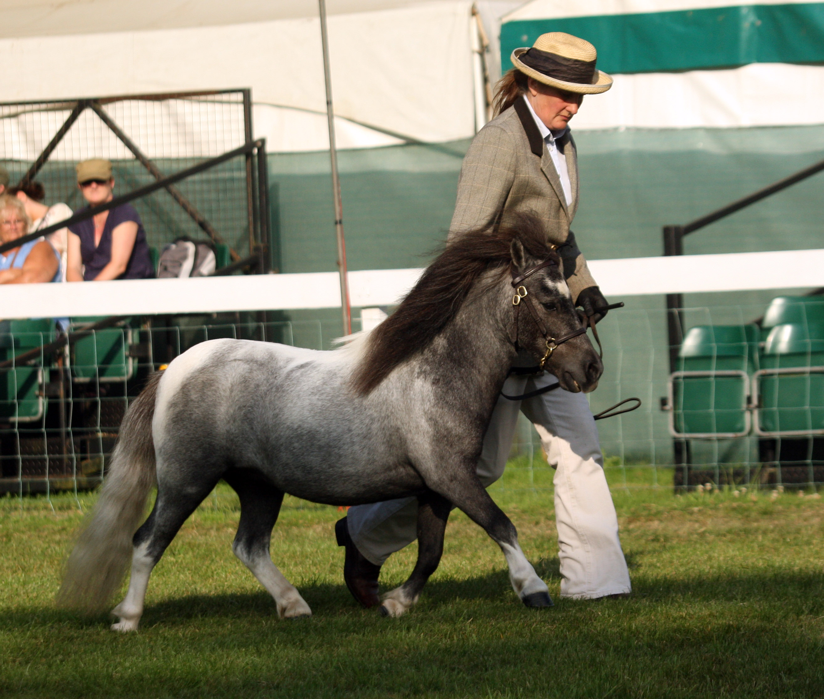 Newton Silver Girl