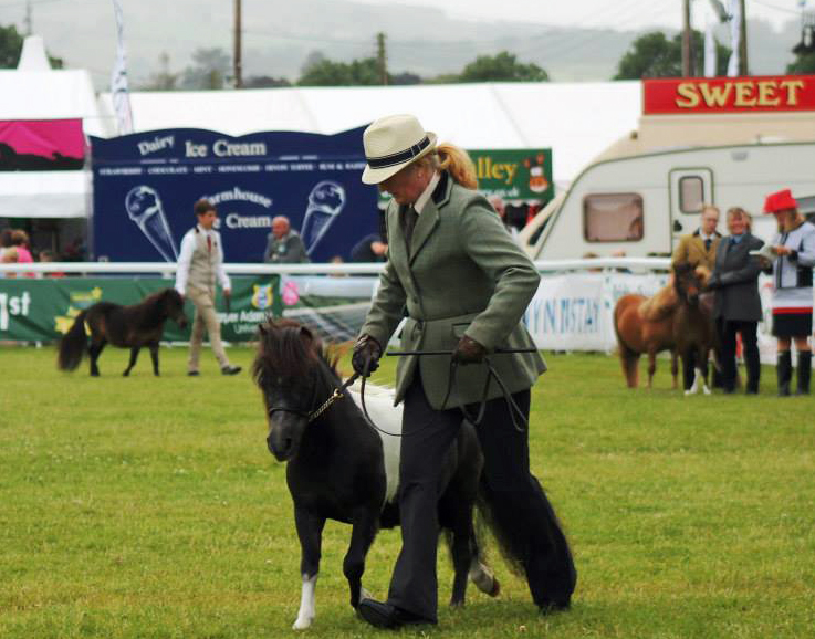 The Royal Welsh show: A night away