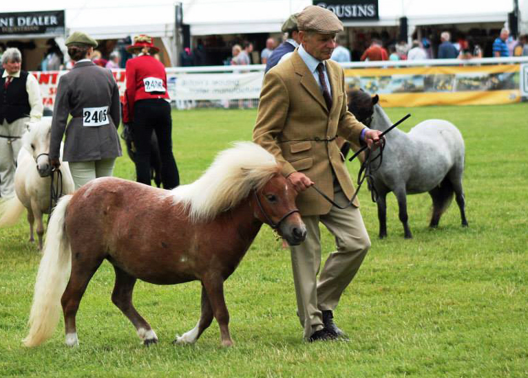 The Royal Welsh show: A night away