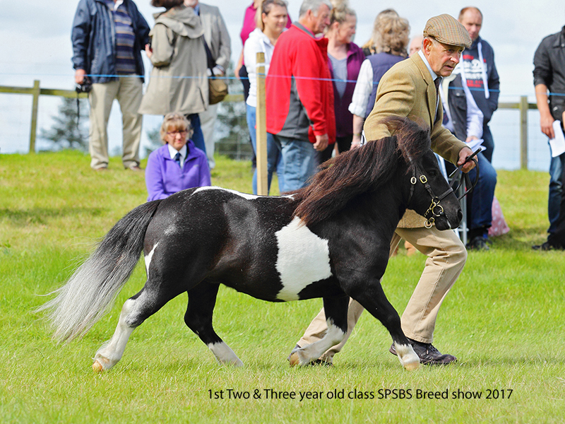 SPSBS Breed show: Wow!! What a Journey we had.