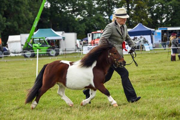 Kington Agricultural show: Some much needed help in more ways than one.