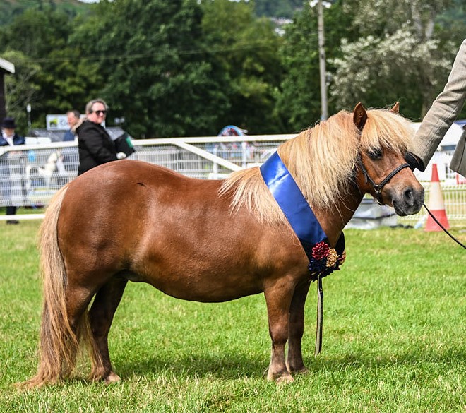 LiscombePark Lucinda